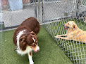 Pet boarding services Rivers Edge Pet Resort in Thonotosassa in Florida