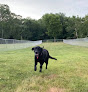 Pet boarding services Riverside Dog Resort in Peru in Indiana