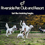Pet boarding services Riverside Pet Club And Resort in Dauphin in Pennsylvania