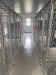 Pet boarding services Rm Kennels in Burnham in Maine