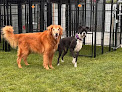 Pet boarding services Road B Kennels & Pet Boarding in Soap Lake in Washington