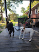 Pet boarding services Rock Hill Pet Care in Rock Hill in South Carolina