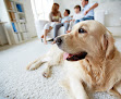 Pet boarding services Rocky Ridge Animal Clinic & Pet Hotel in Vestavia Hills in Alabama