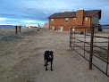 Pet boarding services Rodeo Ranch Road Stables in Laramie in Wyoming
