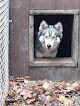 Pet boarding services Rolling Acres Boarding Kennel in Detroit Lakes in MN
