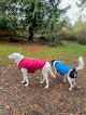 Pet boarding services Roscoe's Ranch in Snohomish in WA