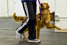 Pet boarding services Rosetree Dog Training Llc in Lexington in Kentucky