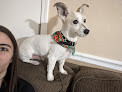 Pet boarding services Round Of A-paws in Chandler in Chandler, AZ
