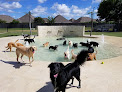 Pet boarding services Rover Oaks Pet Resort, Katy in Katy in TX