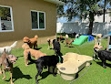 Pet boarding services Rowdy's Pet Resort in Gibsonton in Florida