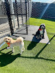 Pet boarding services Royal Dog Resort in Broussard in Louisiana
