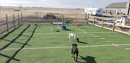 Pet boarding services Royuk Ranch in Valley in Nebraska