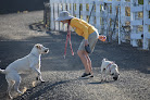 Pet boarding services R&r Pet Resort in Butte in MT