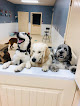 Pet boarding services Ruff Dayz Doggy Daycare, Boarding, And Grooming in Mahomet in IL