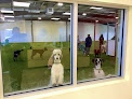 Pet boarding services Ruff House | Dog Boarding, Day Care, Indoor Dog Park in Fort Wayne in Indiana