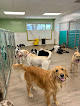 Pet boarding services Ruff House Resort in Panama City in FL