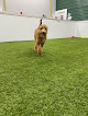 Pet boarding services Ruff Luxury Inn At The Dunes in Chesterton in Indiana