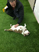 Pet boarding services Ruff Luxury Inn in Valparaiso in Indiana