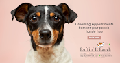 Pet boarding services Ruffin’ It Ranch in Morganville in Monmouth