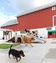 Pet boarding services Rustic Acres Pet Lodge in Juneau in Wisconsin