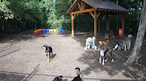 Pet boarding services Safari Pet Resort in Murfreesboro in Tennessee