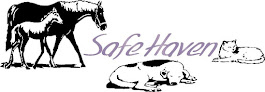 Pet boarding services Safe Haven Pet Care And Boarding Llc in McLoud in Oklahoma