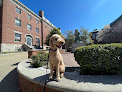 Pet boarding services Safe K-9 Training Ri, Llc in Johnston in RI