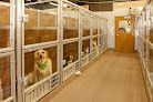 Pet boarding services Saho Owasso Animal Hospital in Owasso in Oklahoma