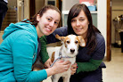 Pet boarding services Sakonnet Veterinary Hospital in Tiverton in RI