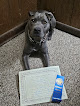 Pet boarding services Salina Kennel Club in Salina in Kansas
