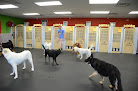 Pet boarding services Sam Russell's Pet Provisions in Elizabethtown in Kentucky