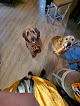 Pet boarding services Sammy's Pet Care Llc in Stockholm in NJ