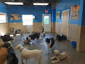 Pet boarding services Santa Fe Tails in Santa Fe in NM