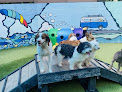 Pet boarding services Sawgrass Pet Resort in Ponte Vedra Beach in Florida