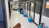 Pet boarding services S&b Kountry Kennel in Council Bluffs in Iowa
