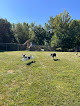 Pet boarding services Schmidt's Country Kennel in Viola in IL