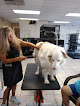 Pet boarding services Sebring Pooch Parlor in Sebring in Florida