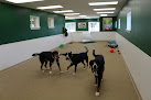 Pet boarding services Seneca Pet Care, Llc in Lafayette in Indiana