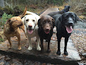 Pet boarding services Seward Dog Lodge in Seward in Alaska