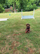 Pet boarding services Shady Mountain Pet Retreat in Amherst in Virginia