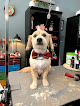 Pet boarding services Shaggy Chic Pet Salon in Long Beach in Harrison