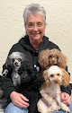 Pet boarding services Sharons Dog Grooming in Milbank in SD