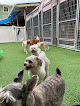 Pet boarding services Shear Magic Pet Salon, Llc in Hilo in Hawaii