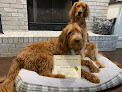 Pet boarding services Shickle K9 in Bloomington in IL