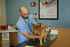 Pet boarding services Shrewsbury Animal Hospital in Oakhurst in Monmouth