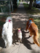 Pet boarding services Silver Dog Bed & Biscuit in West St Paul in MN