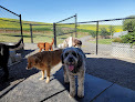 Pet boarding services Silver Paws Lodge in Genesee in Idaho