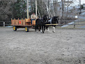 Pet boarding services Silver Ranch Stables in Jaffrey in New Hampshire