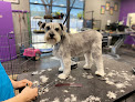 Pet boarding services Sirius Pet Styling: Dog Grooming & Doggy Daycare in Las Vegas in Nevada