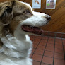 Pet boarding services Sisters Veterinary Clinic in Sisters in Oregon